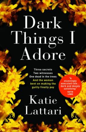 Dark Things I Adore by Katie Lattari