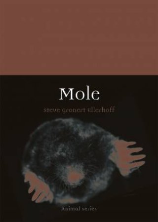 Mole by Steve Gronert Ellerhoff