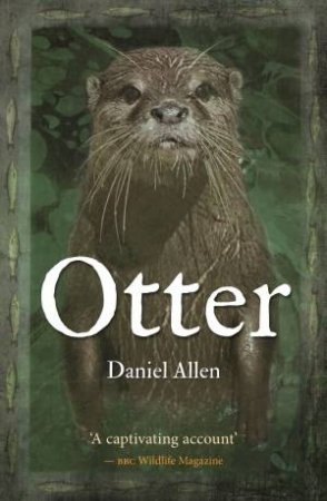 Otter by Daniel Allen