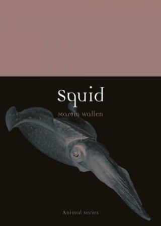 Squid by Martin Wallen