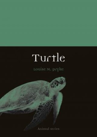 Turtle by Louise M. Pryke