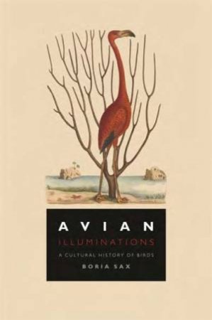 Avian Illuminations by Boria Sax