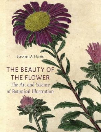 The Beauty of the Flower by Stephen A Harris