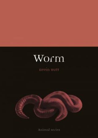 Worm by Kevin Butt