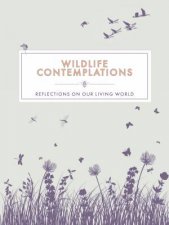 Wildlife Contemplations