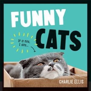 Funny Cats by Charlie Ellis