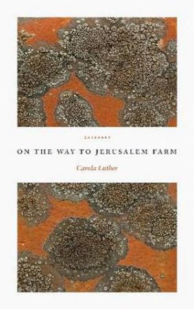 On The Way To Jerusalem Farm by Carola Luther