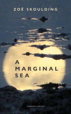 A Marginal Sea by Zoe Skoulding