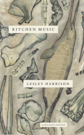 Kitchen Music by Lesley Harrison & Kirsty Gunn