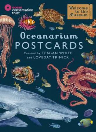 Oceanarium Postcards by Loveday Trinick