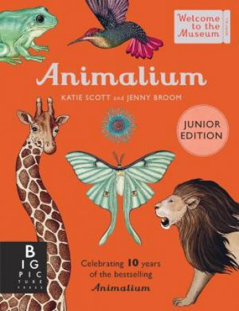 Animalium (Junior Edition) by Katie Scott & Jenny Broom