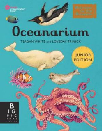 Oceanarium (Junior Edition) by Teagan White & Loveday Trinick