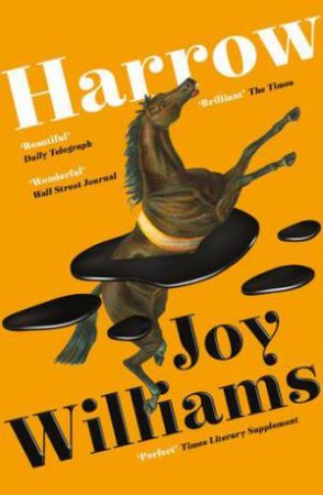 Harrow by Joy Williams