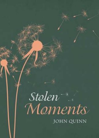 Stolen Moments by John Quinn