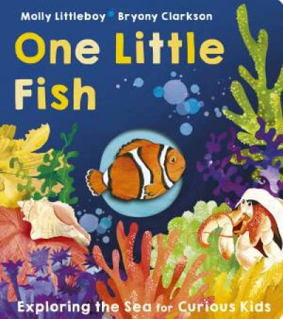 One Little Fish by Molly Littleboy & Bryony Clarkson