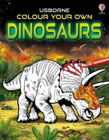 Colour Your Own Dinosaurs by Simon Tudhope & Gong Studios