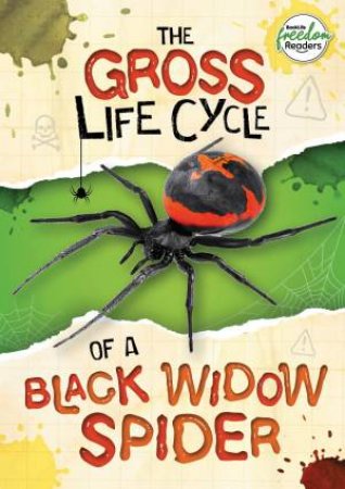 The Gross Life Cycle of a Black Widow Spider by William Anthony