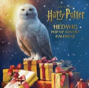 Harry Potter: Hedwig Pop-up Advent Calendar by Various