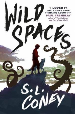 Wild Spaces by S. L. Coney