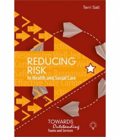 Reducing Risk in Health and Social Care by Terri Salt