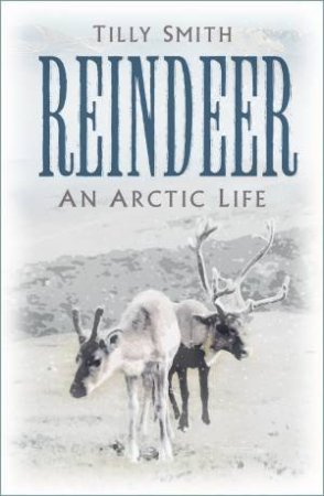 Reindeer: An Arctic Life by Tilly Smith