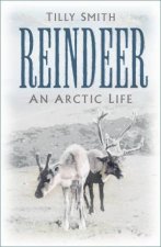 Reindeer An Arctic Life