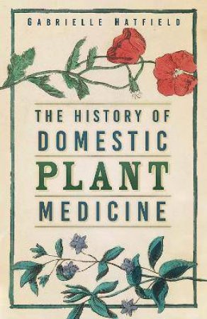 History Of Domestic Plant Medicine by Gabrielle Hatfield