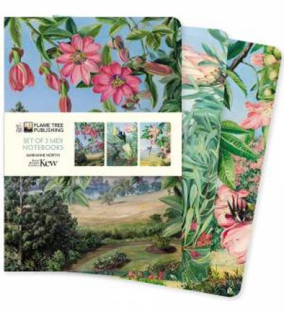 Midi Notebook Collection: Kew Gardens, Marianne North (Set Of 3) by Flame Tree Studio