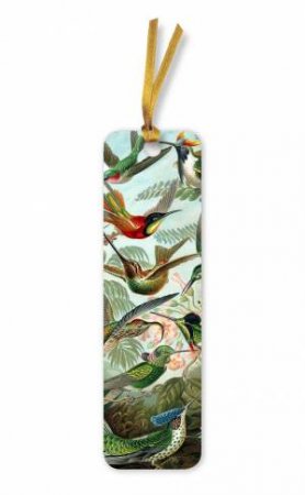 Bookmarks: Ernst Haeckel, Hummingbirds (pack of 10) by FLAME TREE STUDIO