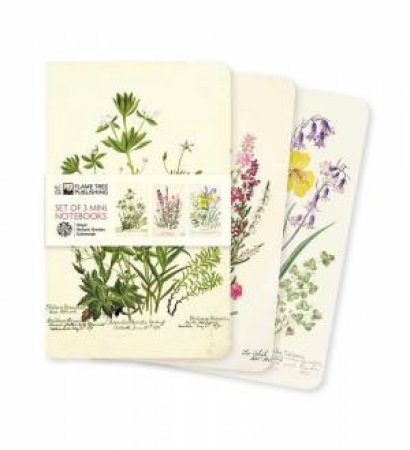 Mini Notebook Collection: Royal Botanic Garden Edinburgh (Set of 3) by FLAME TREE STUDIO