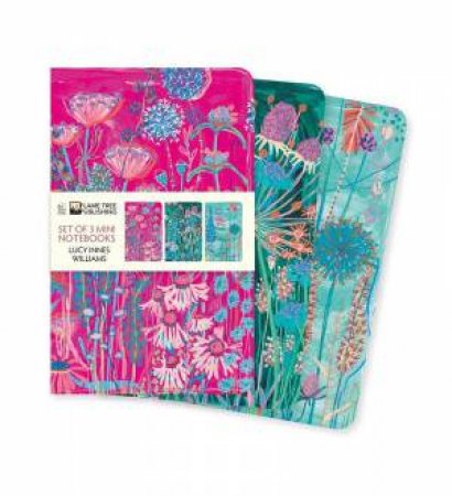 Mini Notebook Collection: Lucy Innes Williams (Set of 3) by FLAME TREE STUDIO