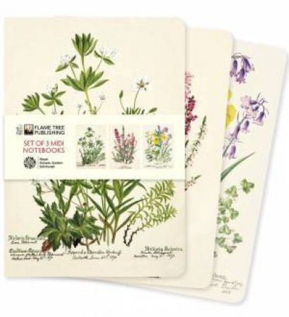 Midi Notebook Collection: Royal Botanic Garden Edinburgh (Set of 3) by FLAME TREE STUDIO