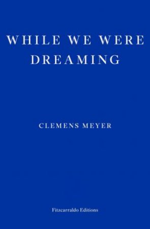 While We Were Dreaming by Clemens Meyer & Katy Derbyshire