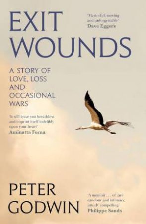 Exit Wounds by Peter Godwin