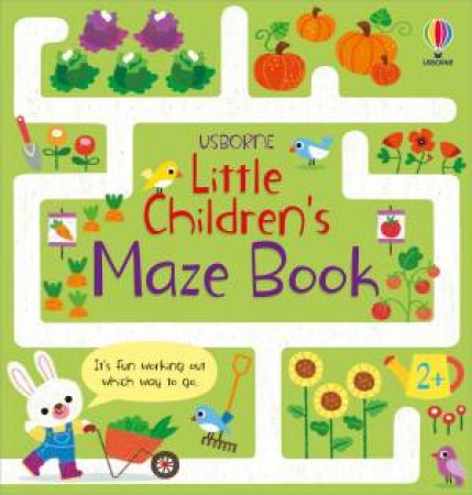 Little Children's Maze Book by Matthew Oldham & Various