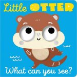 What Can You See Little Otter