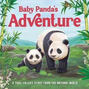 Baby Panda's Adventure by Igloo