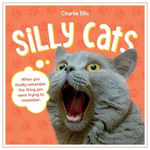 Silly Cats by Summersdale Publishers