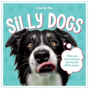 Silly Dogs by Summersdale Publishers