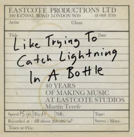 Like Trying To Catch Lightning In A Bottle by Martin Terefe