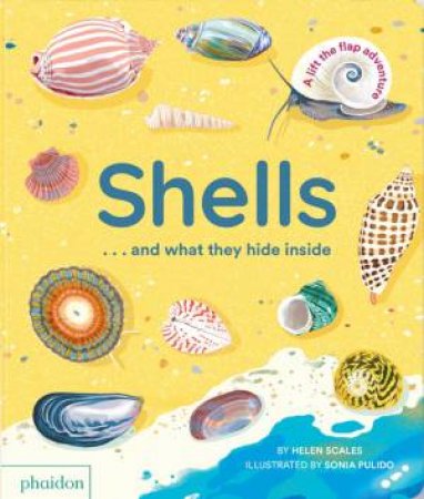 Shells... and what they hide inside by Helen Scales