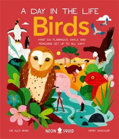 Birds (A Day In The Life) by Alex Bond