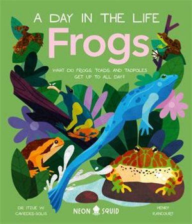 Frogs (A Day in the Life) by Itzue W. Caviedes-Solis