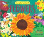 Life Cycle Book Flowers