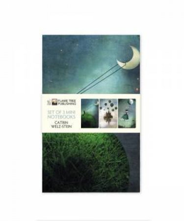 Mini Notebook Collection: Catrin Welz-Stein (Set Of 3) by Various