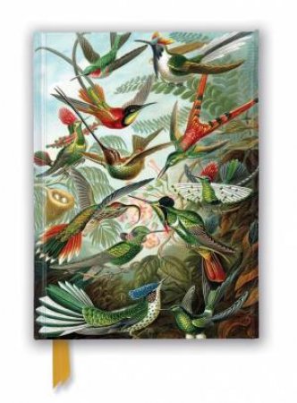 Foiled Journal #311: Ernst Haeckel: Hummingbirds by Flame Tree Studio