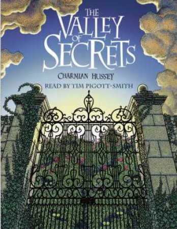 The Valley Of Secrets - Tape by Charmian Hussey