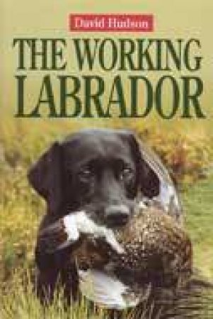 Working Labrador by HUDSON DAVID