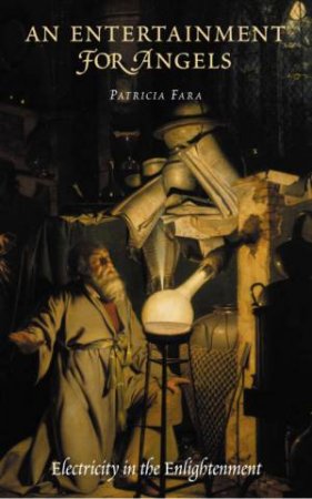 An Entertainment For Angels: Electricity In The Enlightenment by Patricia Fara