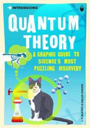 Quantum Theory: A Graphic Guide To Science's Most Puzzling Discovery by J.P McEvoy